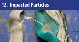 Impacted Particles